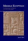 Middle Egyptian: An Introduction to the Language and Culture of Hieroglyphs by James P. Allen
