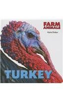 Turkey by Katie Dicker