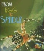 From Egg to Spider (How Living Things Grow) by Anita Ganeri