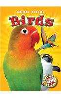 Birds (Blastoff! Readers: Animal Classes) by Kari Schuetz