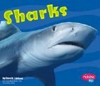 Sharks (Under the Sea (Capstone Library)) by Carol K. Lindeen