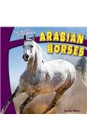 Arabian Horses (The World of Horses)