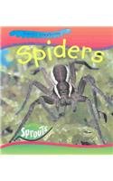 Spiders (Creepy Creatures)