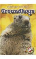 Groundhogs