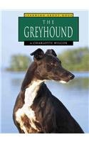 The Greyhound (Learning about Dogs) by Charlotte