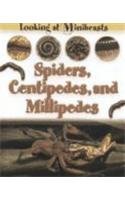 Spiders, Centipedes, and Millipedes (Looking at Minibeasts) by Sally Morgan