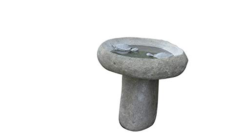 Algopix Similar Product 10 - Stone Age Creations Small Two Turtle