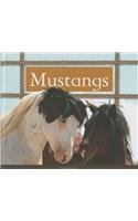 Mustangs