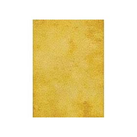 10x20' Infinity Hand Painted Muslin Background (Roma)