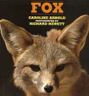 Fox by Caroline Arnold