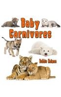 Baby Carnivores
