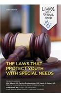 The Laws That Protect Youth With Special Needs
