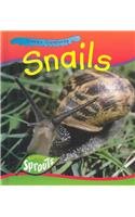 Snails (Creepy Creatures)