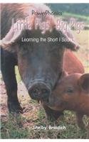 Little Pigs, Big Pigs: Learning the Short I Sound (Power Phonics/Phonics for the Real World)