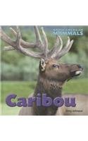 Caribou by Jinny Johnson