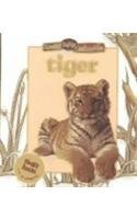 Tiger (Busy Baby Animals) by Jinny Johnson