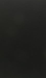 New York Times v. Sullivan: Civil Rights, Libel Law, and the Free Press by Kermit L. Hall  ,