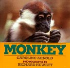 Monkey by Caroline Arnold