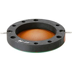 High Efficiency Speaker Asylum