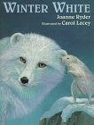 Winter White by Joanne Ryder