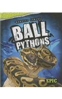 Ball pythons