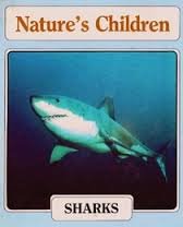 Sharks (Nature's Children) by Jen Green