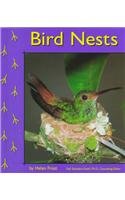 Bird Nests (Pebble Books)
