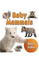 Baby Mammals by Bobbie Kalman