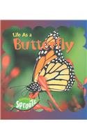 Life As a Butterfly