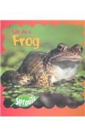 Life As a Frog