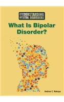What Is Bipolar Disorder?