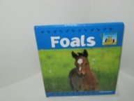 Foals (SandCastle: Baby Animals) by Kelly Doudna