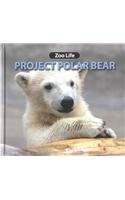 Project Polar Bear