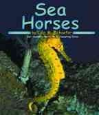 Sea Horses (Pebble Books)
