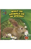 What Do Animals Do in Spring?