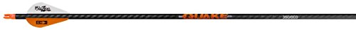 Algopix Similar Product 14 - Element Archery Quake Arrow 200 Spine