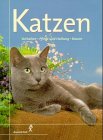 Katzen. Charakter und Verhalten - Pflege und Haltung - Rassen - Claire Bessant