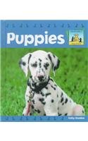 Puppies (SandCastle: Baby Animals) by Kelly Doudna