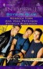 Boys in Blue (Bachelors at Large, Book 3) (Harlequin Intrigue Series #745)
