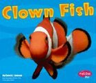 Clown Fish (Under the Sea (Capstone Library)) by Carol K. Lindeen
