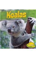 Koalas (Up a Tree) by Willow Clark
