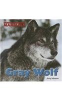 Gray Wolf by Jinny Johnson