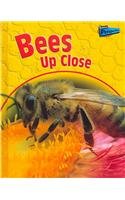 Bees Up Close (Raintree Perspectives)