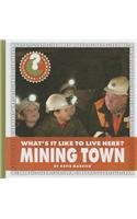 What's it like to live here? : mining town by Katie Marsico