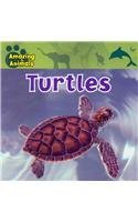 Turtles by Christina Wilsdon