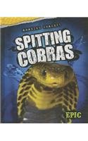 Spitting cobras