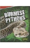 Burmese Pythons