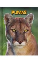 Pumas