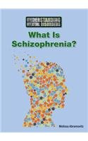 What Is Schizophrenia? by Melissa Abramovitz