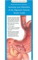 Illustrated Pocket Anatomy: Anatomy And Disorders Of The Digestive System by Anatomical Chart Company